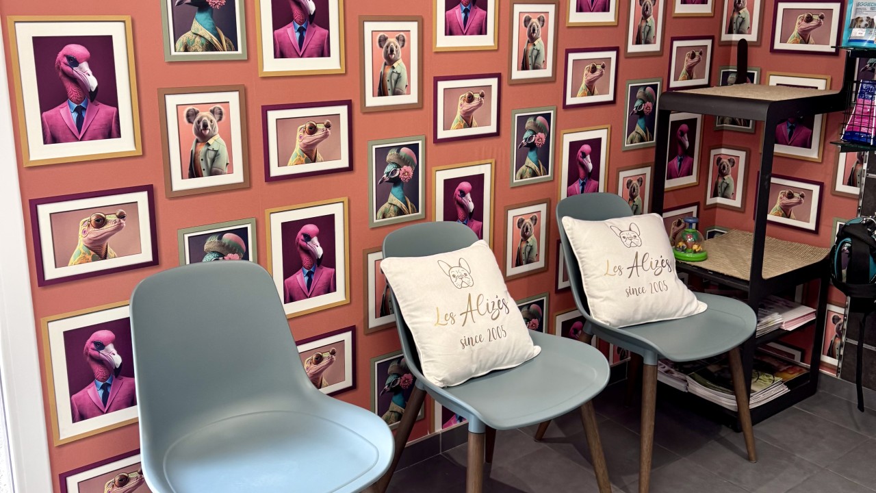 Salle d'attente